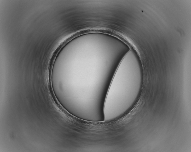 X0000112110935200908041148