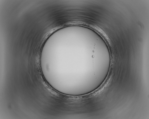 X0000112110937200908041148