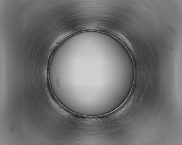 X0000112110938200908041148