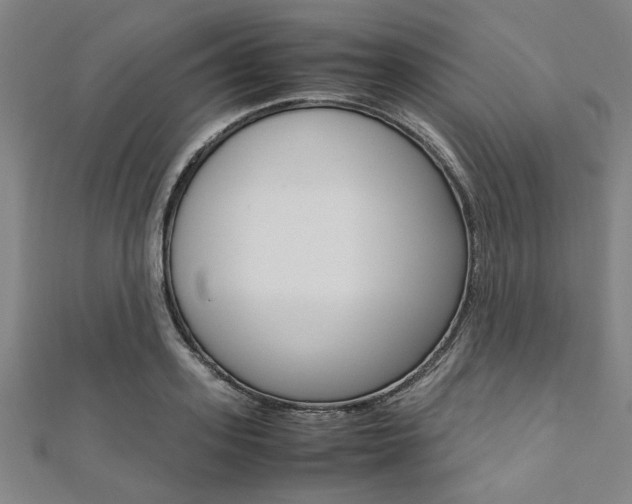 X0000112110939200908041148