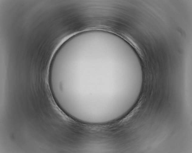 X0000112110940200908041148
