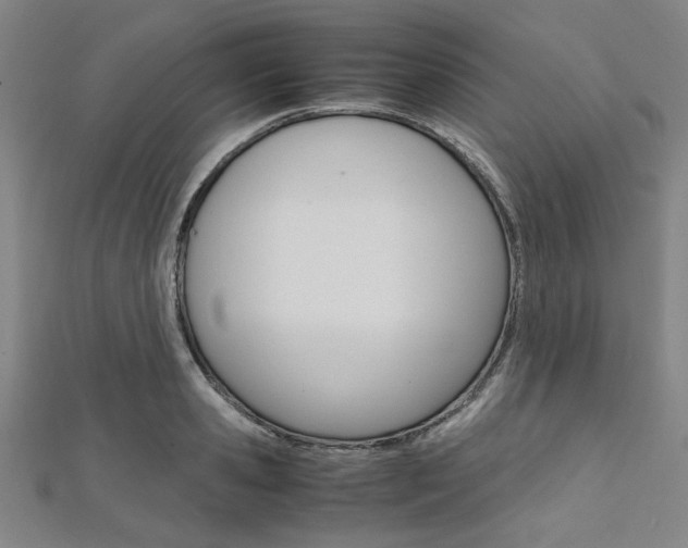 X0000112110941200908041148