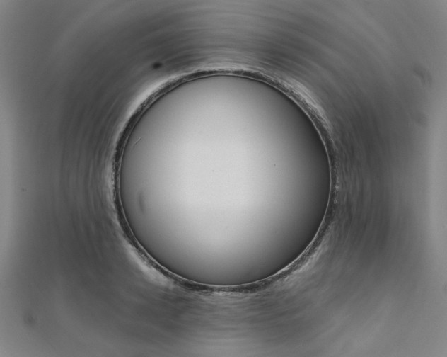 X0000112110942200908041148