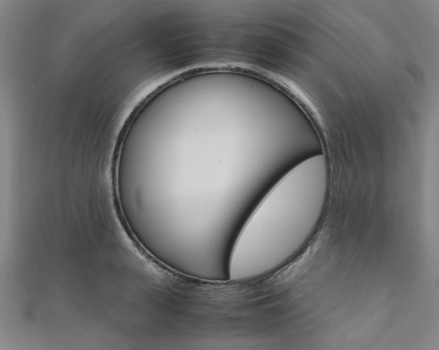 X0000112110943200908041148