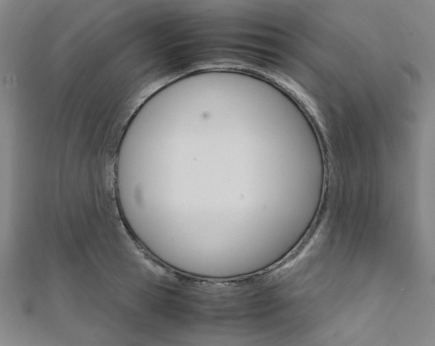 X0000112110945200908041149