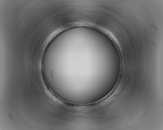 X0000112110946200908041149