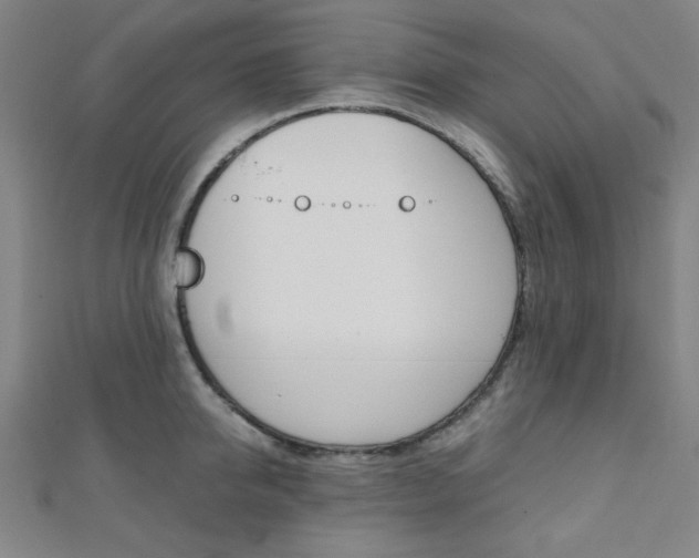 X0000112110950200908041149