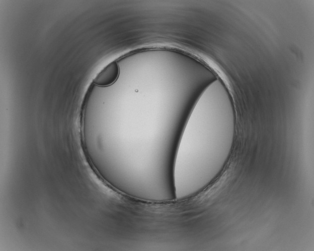X0000112110951200908041149