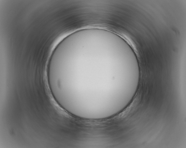 X0000112110952200908041149