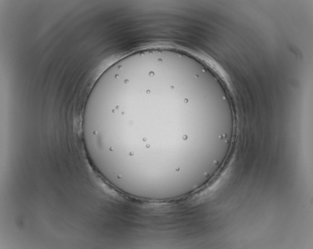 X0000112110953200908041149