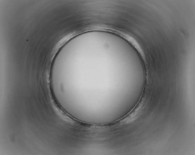 X0000112110954200908041149
