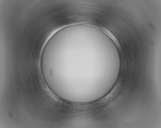 X0000112110956200908041149