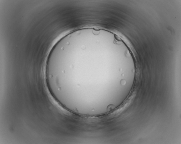 X0000112110957200908041149