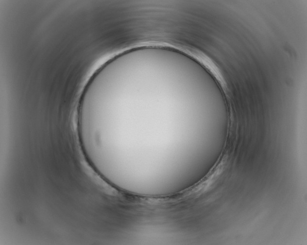 X0000112110958200908041149