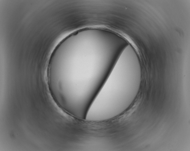 X0000112110959200908041149