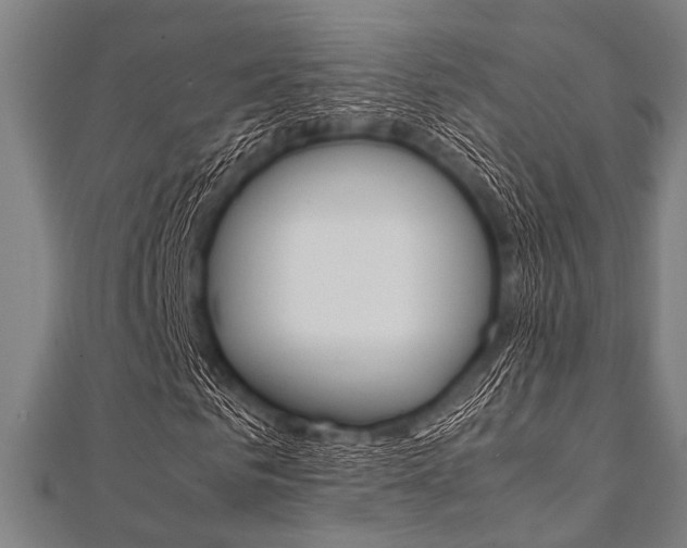 X0000112110961200908041148