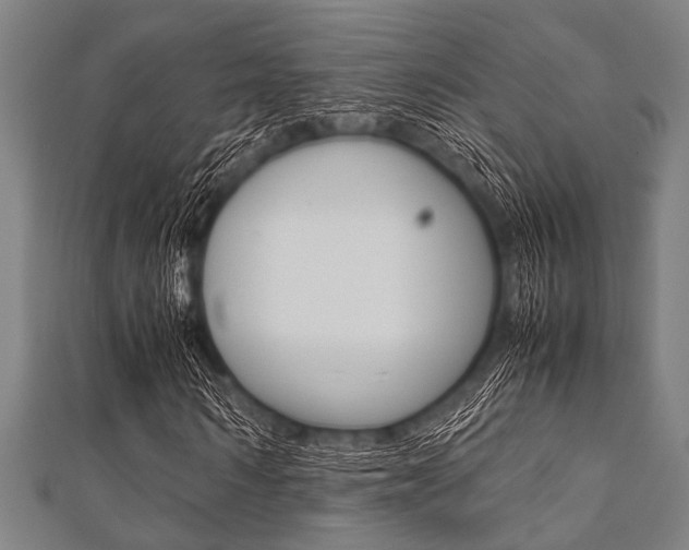 X0000112110962200908041148