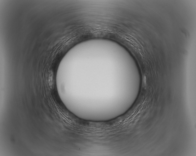 X0000112110963200908041148
