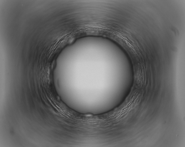 X0000112110964200908041148