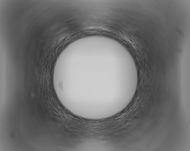 X0000112110965200908041148