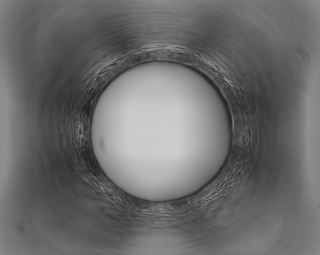 X0000112110966200908041148
