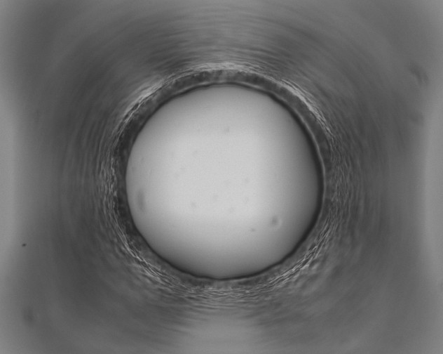 X0000112110967200908041148
