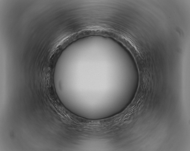 X0000112110968200908041148
