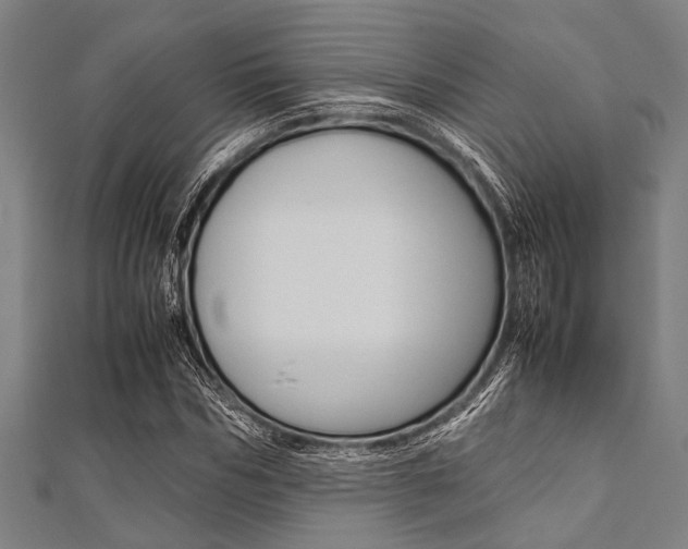 X0000112110970200908041148