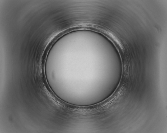 X0000112110972200908041148