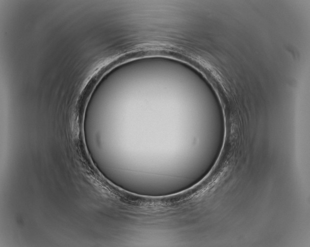 X0000112110973200908041148
