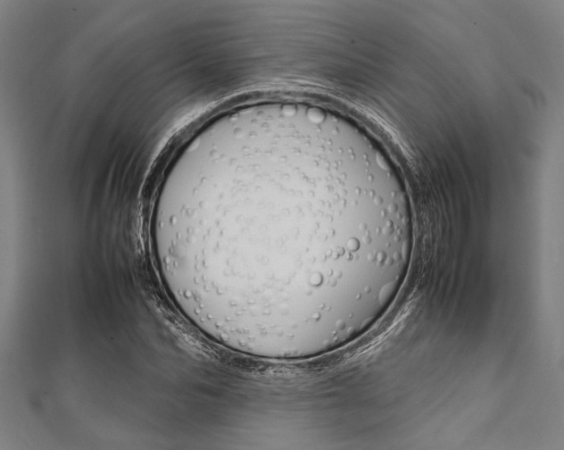 X0000112110974200908041148