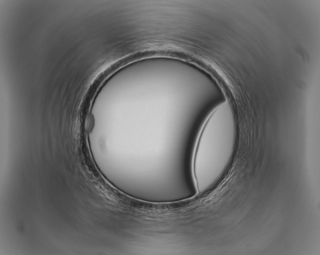 X0000112110975200908041148