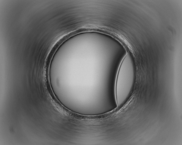 X0000112110976200908041148