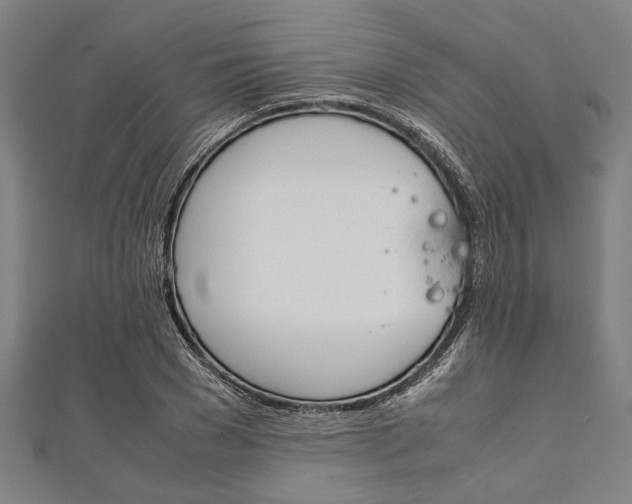 X0000112110977200908041148