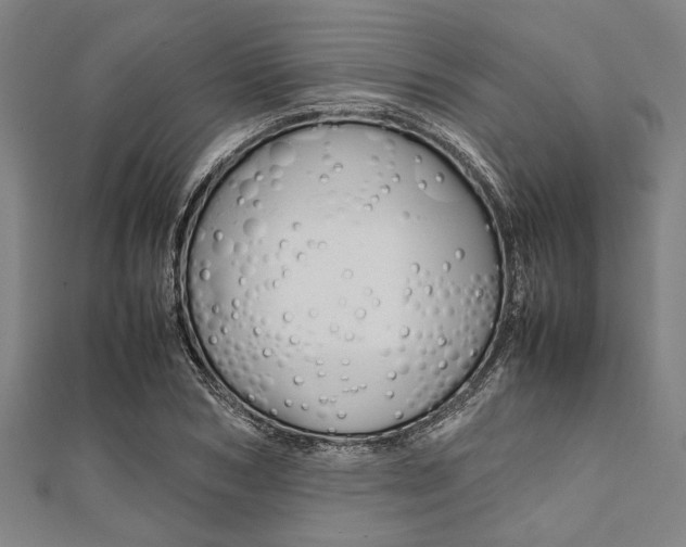 X0000112110978200908041148