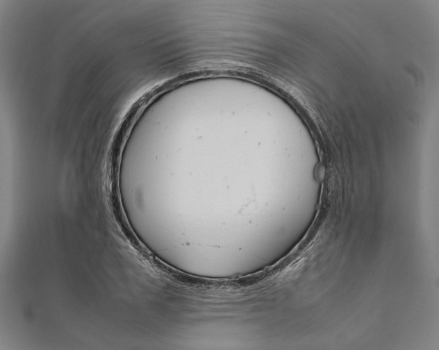 X0000112110979200908041148