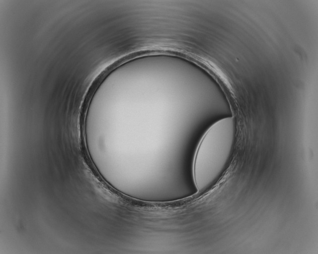 X0000112110980200908041148