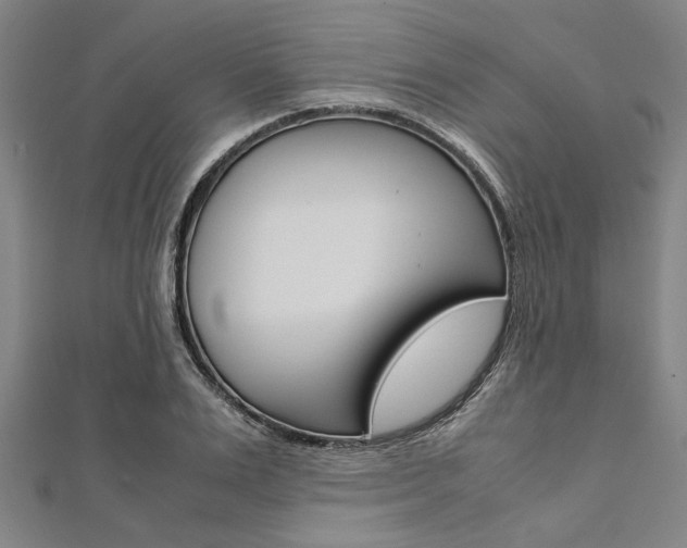 X0000112110983200908041148