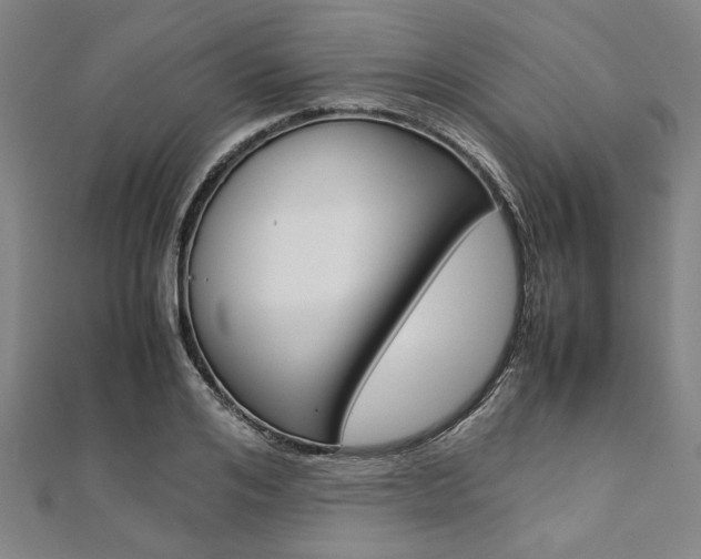 X0000112110984200908041148