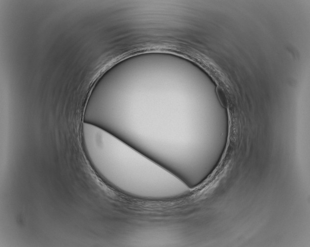 X0000112110985200908041148