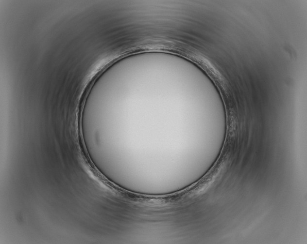 X0000112110986200908041148