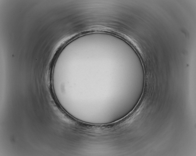 X0000112110987200908041148