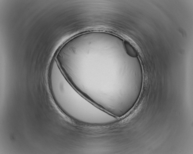 X0000112110989200908041148