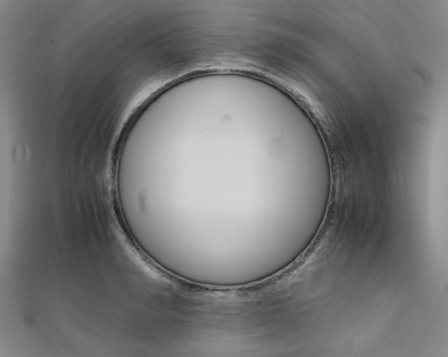 X0000112110990200908041148
