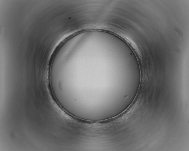 X0000112110992200908041148
