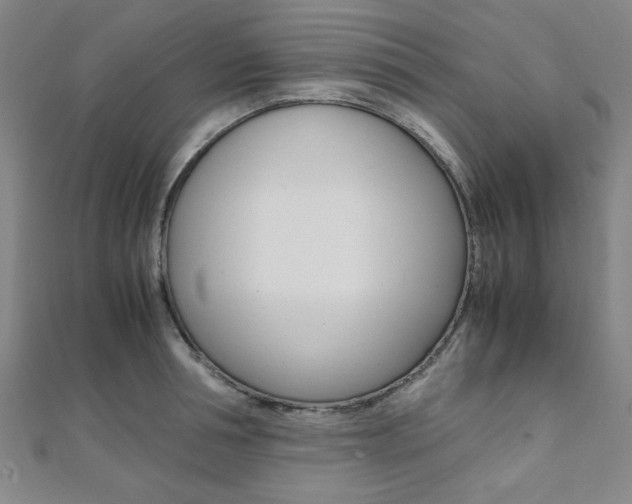 X0000112110994200908041148