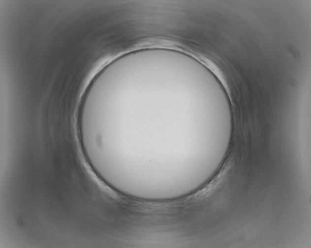 X0000112110997200908041148