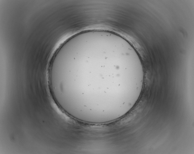 X0000112110998200908041148