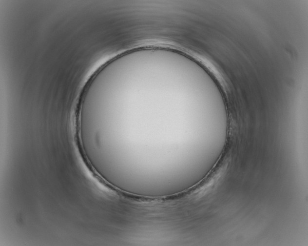 X0000112110999200908041148