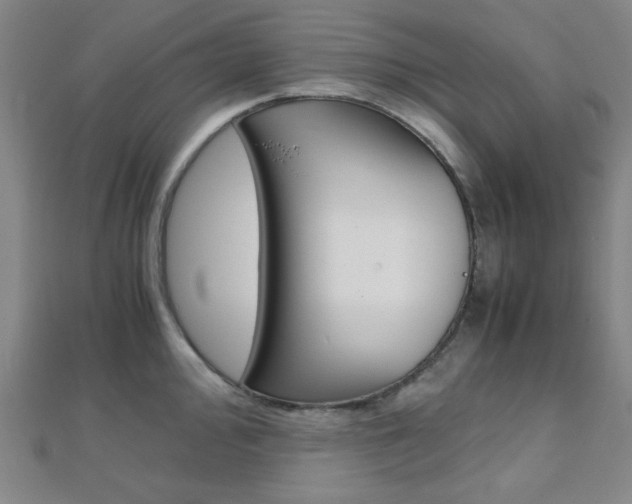 X0000112111000200908041148